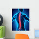 Human Male Spine Anatomy Wall Decal