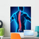 Human Male Spine Anatomy Wall Decal