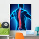 Human Male Spine Anatomy Wall Decal