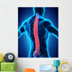 Human Male Spine Anatomy Wall Decal