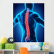 Human Male Spine Anatomy Wall Decal