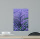 Lavender Field Wall Decal Design 2