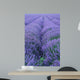 Lavender Field Wall Decal Design 2