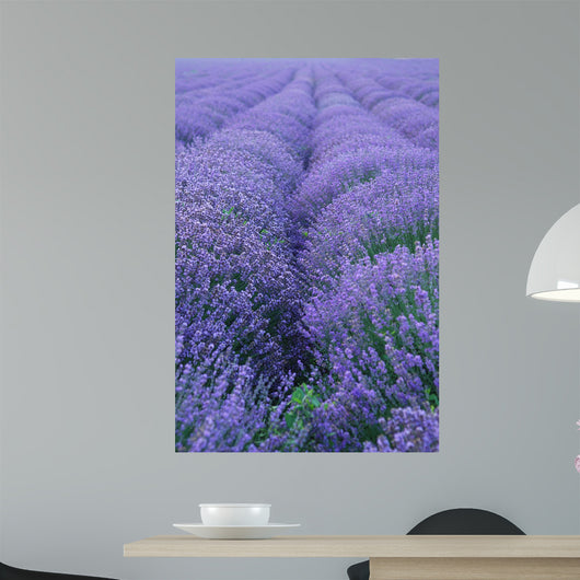 Lavender Field Wall Decal Design 2