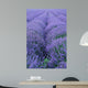 Lavender Field Wall Decal Design 2