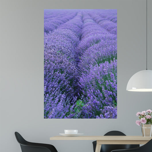 Lavender Field Wall Decal Design 2