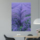 Lavender Field Wall Decal Design 2