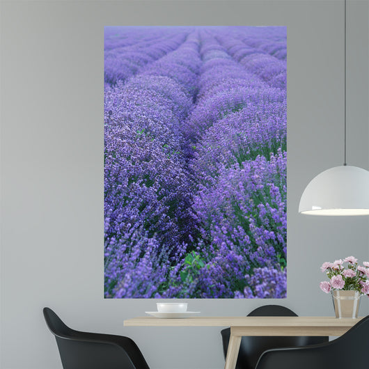 Lavender Field Wall Decal Design 2