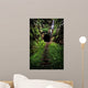 Hidden Tunnel Wall Decal