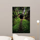 Hidden Tunnel Wall Decal