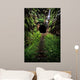 Hidden Tunnel Wall Decal