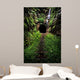 Hidden Tunnel Wall Decal