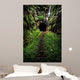 Hidden Tunnel Wall Decal