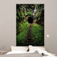 Hidden Tunnel Wall Decal