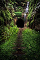 Hidden Tunnel Wall Decal