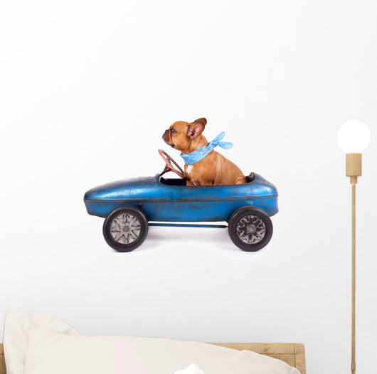 Fly French Bulldog Driving Wall Decal