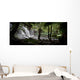 Rainforest Scene Wall Decal Panoramic Wall Decal