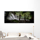 Rainforest Scene Wall Decal Panoramic Wall Decal
