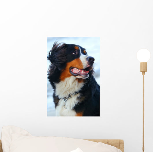 Beautiful Dog Portrait Wall Decal
