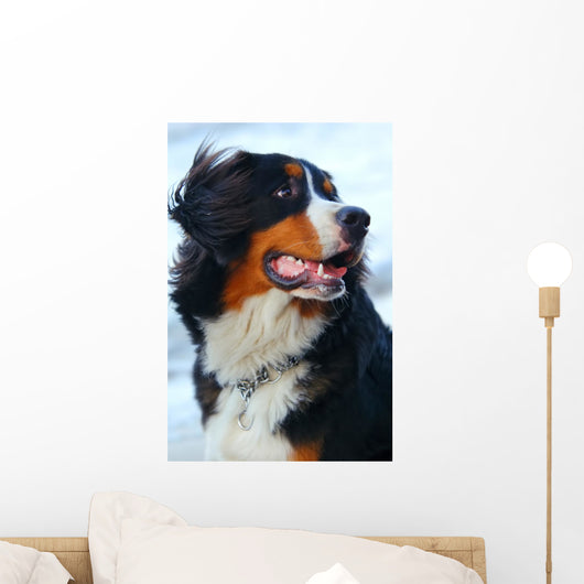 Beautiful Dog Portrait Wall Decal