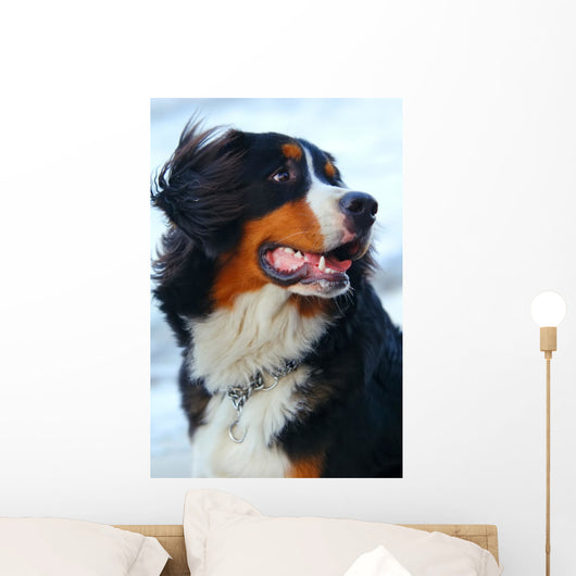 Beautiful Dog Portrait Wall Decal