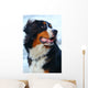 Beautiful Dog Portrait Wall Decal