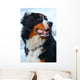 Beautiful Dog Portrait Wall Decal