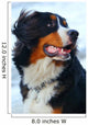 Beautiful Dog Portrait Wall Decal