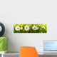 White Daisy Flowers Wall Decal Panoramic Wall Decal
