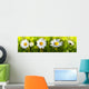 White Daisy Flowers Wall Decal Panoramic Wall Decal