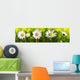 White Daisy Flowers Wall Decal Panoramic Wall Decal