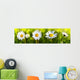 White Daisy Flowers Wall Decal Panoramic Wall Decal