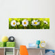 White Daisy Flowers Wall Decal Panoramic Wall Decal