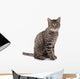 Sitzende Katze Wall Decal
