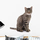 Sitzende Katze Wall Decal