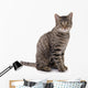 Sitzende Katze Wall Decal