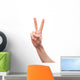 Peace Bunny Ears Wall Decal