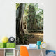 Ruins Ta Prom Temple Wall Decal
