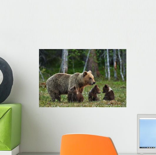 Mother Bear and Cubs Wall Decal