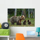 Mother Bear and Cubs Wall Decal