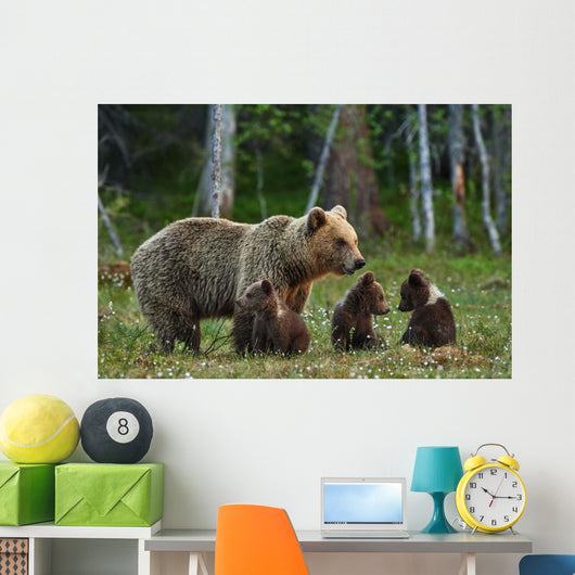 Mother Bear and Cubs Wall Decal