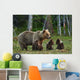 Mother Bear and Cubs Wall Decal