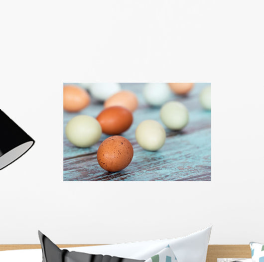 Assortment Different Color Fresh Wall Decal