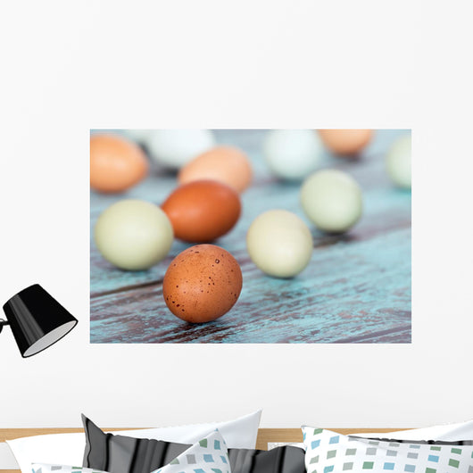 Assortment Different Color Fresh Wall Decal