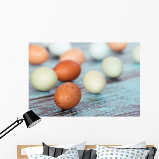 Assortment Different Color Fresh Wall Decal