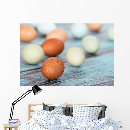 Assortment Different Color Fresh Wall Decal