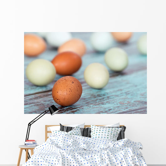 Assortment Different Color Fresh Wall Decal