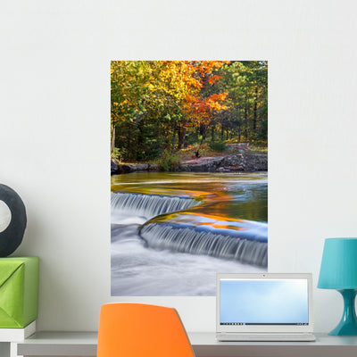 Autumn Colors Bond Falls Wall Decal shown on a wall