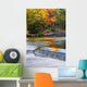 Autumn Colors Bond Falls Wall Decal