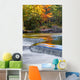 Autumn Colors Bond Falls Wall Decal